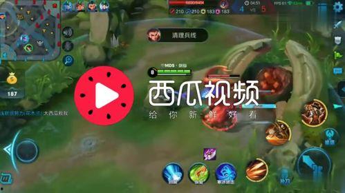 娱乐吃瓜背景音乐推荐,盘点那些让人捧腹大笑的背景音乐